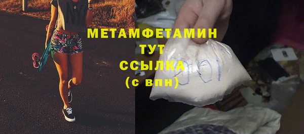 индика Горнозаводск
