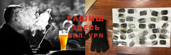 индика Горнозаводск