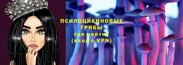 гидропоника Горняк