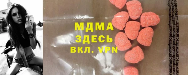 индика Горнозаводск