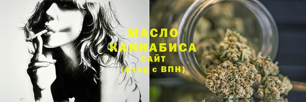 индика Горнозаводск