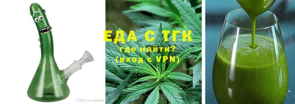 индика Горнозаводск