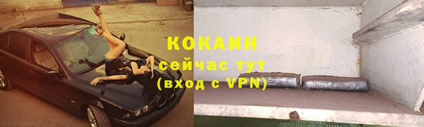 индика Горнозаводск