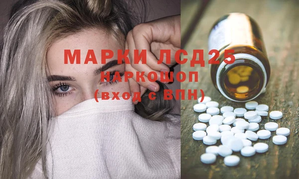 гидропоника Горняк