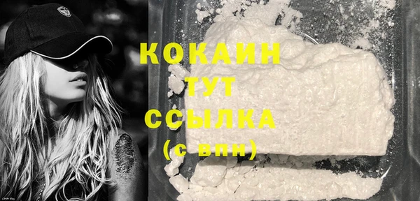гидропоника Горняк