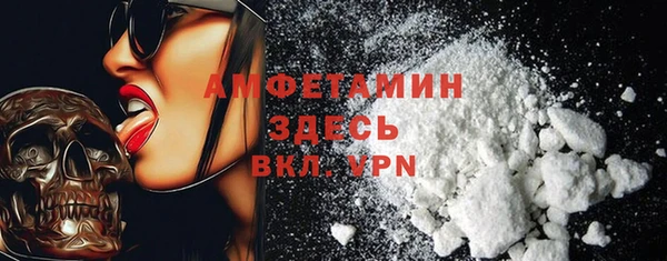 индика Горнозаводск