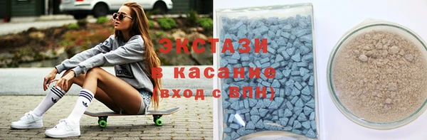 индика Горнозаводск