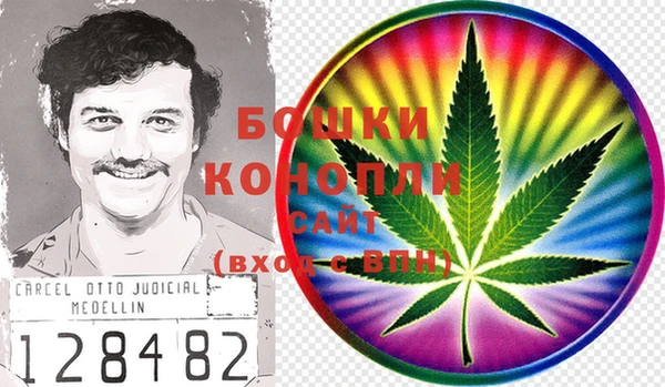 индика Горнозаводск