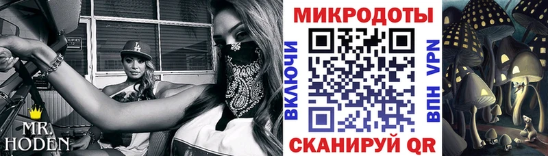 Галлюциногенные грибы мухоморы  Трубчевск 